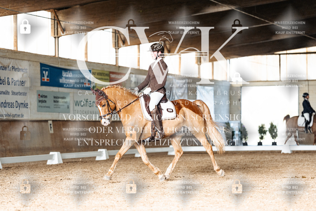 CK902921 | Turnierfotografie Pferdefotografie Trier Rheinland-Pfalz Pferdesport Reitsport Tierfotografie Sportfotografie Pferdevideo Pferdevideografie Equestrianvideography equestrianphotography  - Realisiert mit Pictrs.com
