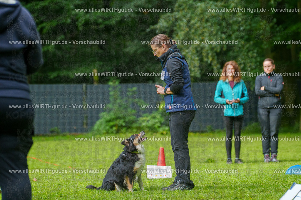 @allesWIRTHgut_Tierfotografie - www.allesWIRTHgut.de - 7R501959 | Professionelle Tierfotografie in Mönchengladbach von Daniel Wirth (allesWIRTHgut). Liebevolle & natürliche Bilder von Hunden & Katzen für unvergessliche Erinnerungen.