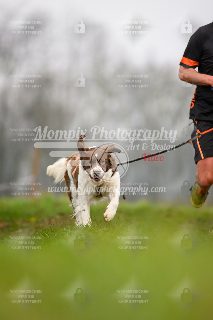 MompixPhotography_CDF2023_FFST_Di_Canicross-100 | PayLife