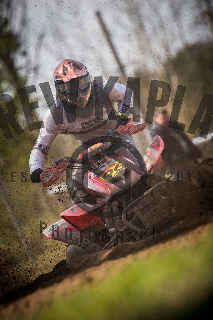 DKP-7313 | Drew Kaplan Photography