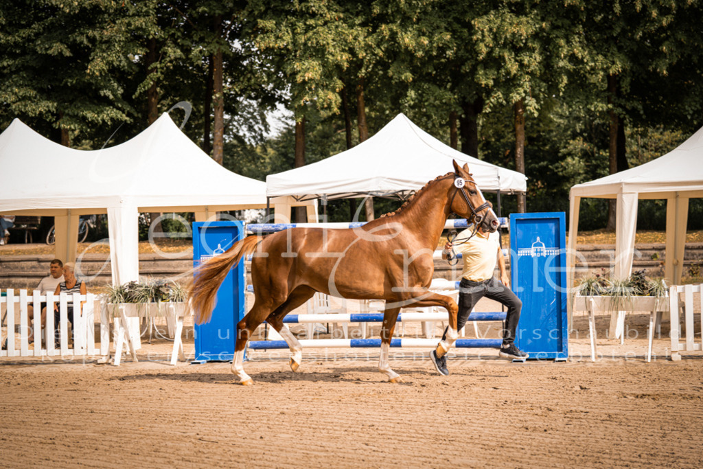 FrER00084 | Leoni Ertmer Photography - Realisiert mit Pictrs.com