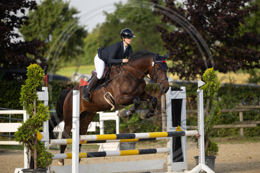 994A6977 | sabrinanicolaifotografie - Realisiert mit Pictrs.com