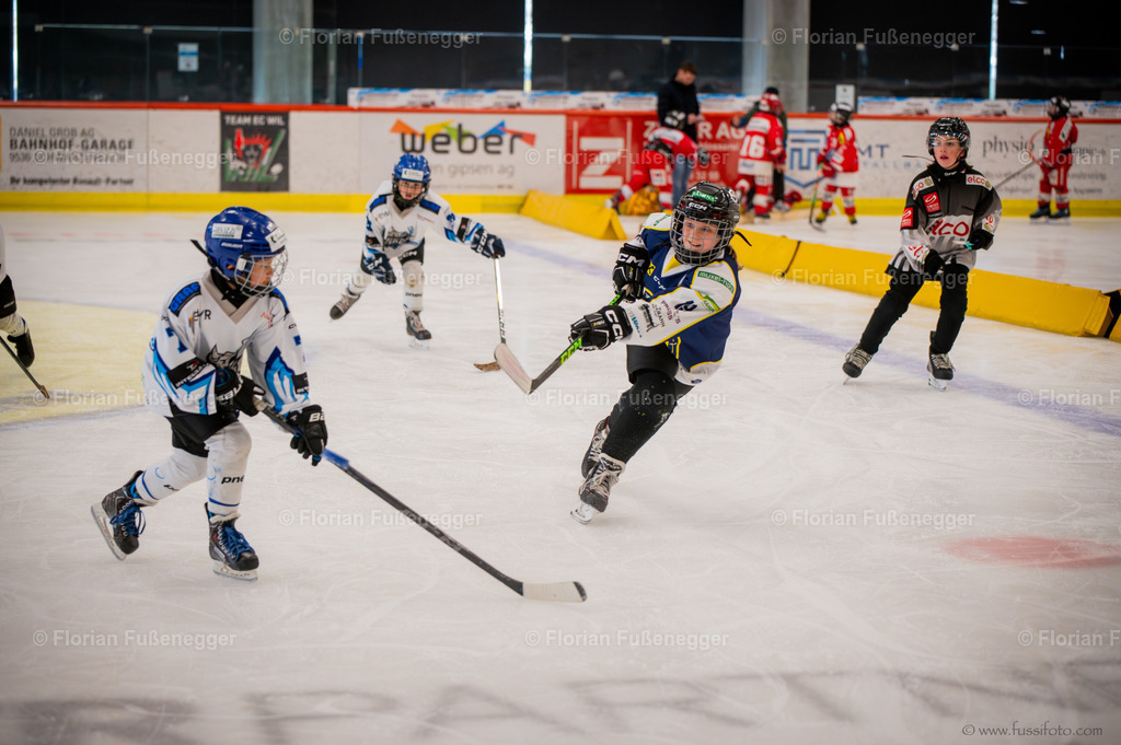 DSC_1824 | "Fussifoto.com – Ihr Ansprechpartner für hochwertige Fotografie! Entdecken Sie kreative Bilder und professionelle Dienstleistungen. Kontaktieren Sie uns für Ihre Projekte!"