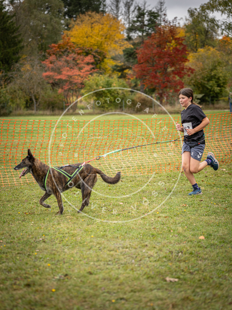 Pfotenfotografie_DV3A3723 | Hundefotografie, Tierfotograf, Pfotenfotografie, Fotoshooting Hund, Hunde Portrait, Hundesport, Hundeportraits, Heideshooting, Hunde, Sportfotograf, Hundefotograf, Turnierhundsport, THS,  - Realisiert mit Pictrs.com