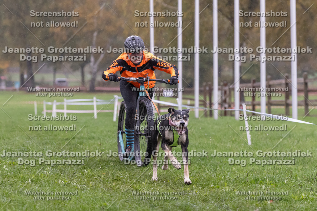 Dog Paparazzi - SD CaniX Championship 2025-896 | Dog Paparazzi Jeanette Grottendiek Fotografie & Videografie - Realisiert mit Pictrs.com