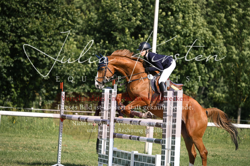 DSC_1210 | Pferde- und Turnierfotografie in Westsachsen. Pferdeportraits, Auftragszeichnungen und intuitive Kunst.