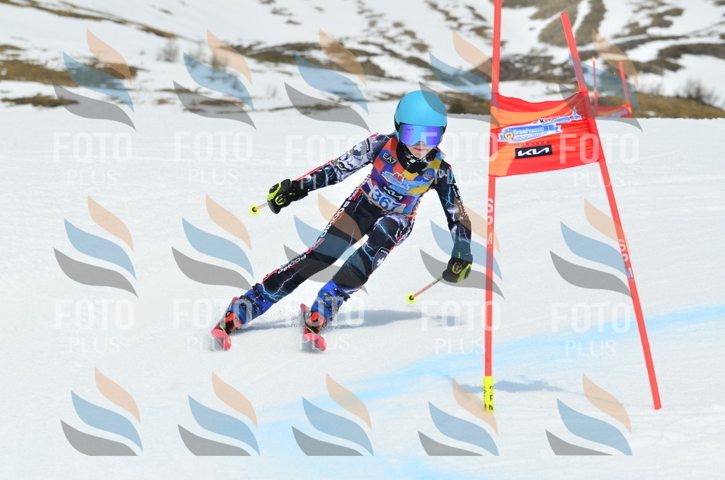 _ELE2974 | holidayphoto