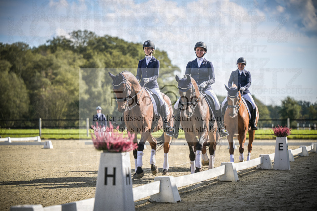 DOS_0034 | Entdecke hochwertige Reitturnierfotos von Foto Oger. Professionell, emotional und authentisch – jetzt Lieblingsmomente im Shop bestellen.Deutschlandweite Turnierfotografie. - Realisiert mit Pictrs.com