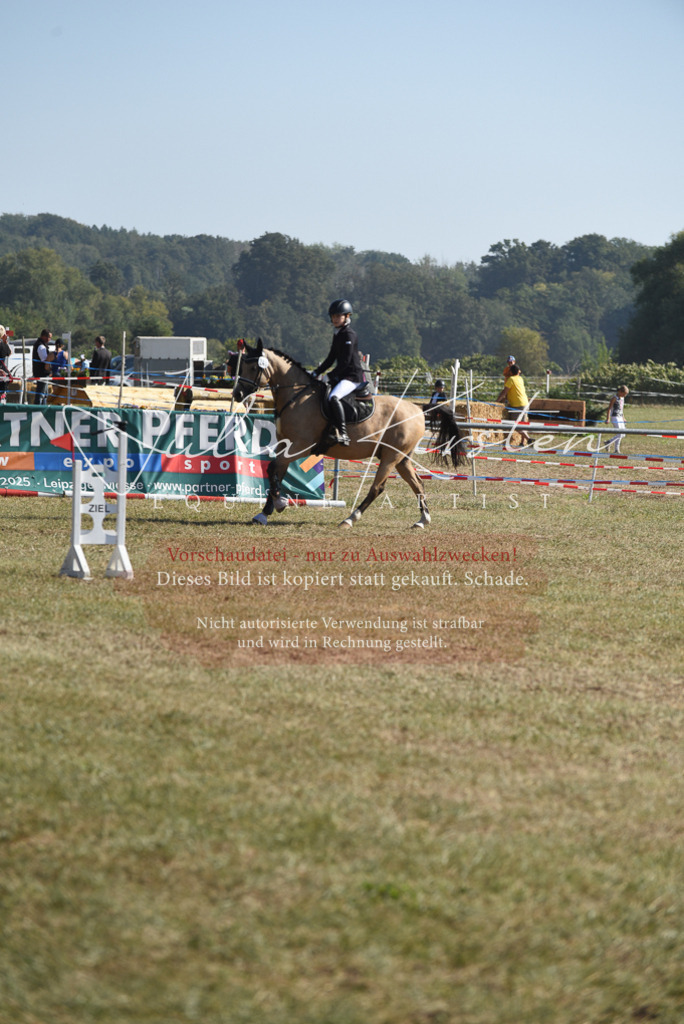 DSC_6069 | Pferde- und Turnierfotografie in Westsachsen. Pferdeportraits, Auftragszeichnungen und intuitive Kunst.