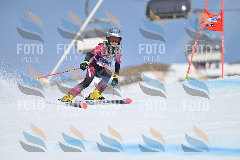 BGV_0265 | holidayphoto