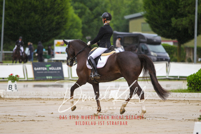 DKP40538 | Turniersportfotografie; Pferdefotografie; Dressurfotografie