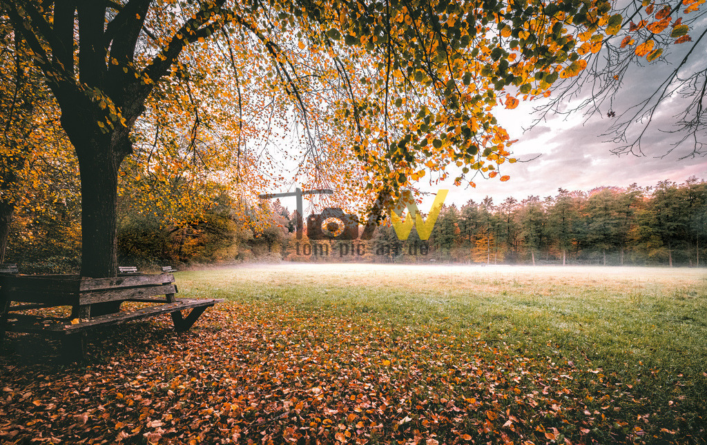 Haolz Bank unter Baum - Herbststimmung | Hochauflösende und hochwertige Bilder und Fotos.Kommerzielle oder private Nutzung ✔ Bilder downloaden✔ Acryl ✔ Leinwand ✔ Poster ✔
 - Realisiert mit Pictrs.com