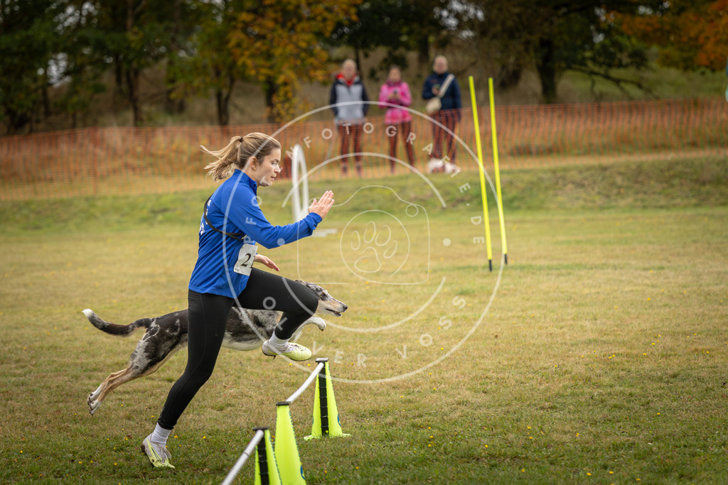 Pfotenfotografie_DV3A2871 | Hundefotografie, Tierfotograf, Pfotenfotografie, Fotoshooting Hund, Hunde Portrait, Hundesport, Hundeportraits, Heideshooting, Hunde, Sportfotograf, Hundefotograf, Turnierhundsport, THS,  - Realisiert mit Pictrs.com