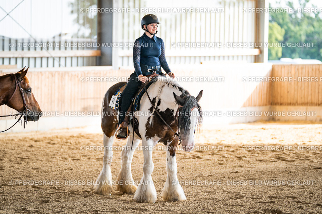 DSC08343 | Pferdegrafie