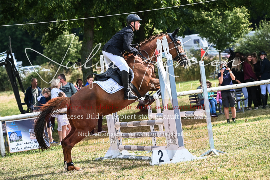DSC_8169 | Pferde- und Turnierfotografie in Westsachsen. Pferdeportraits, Auftragszeichnungen und intuitive Kunst.