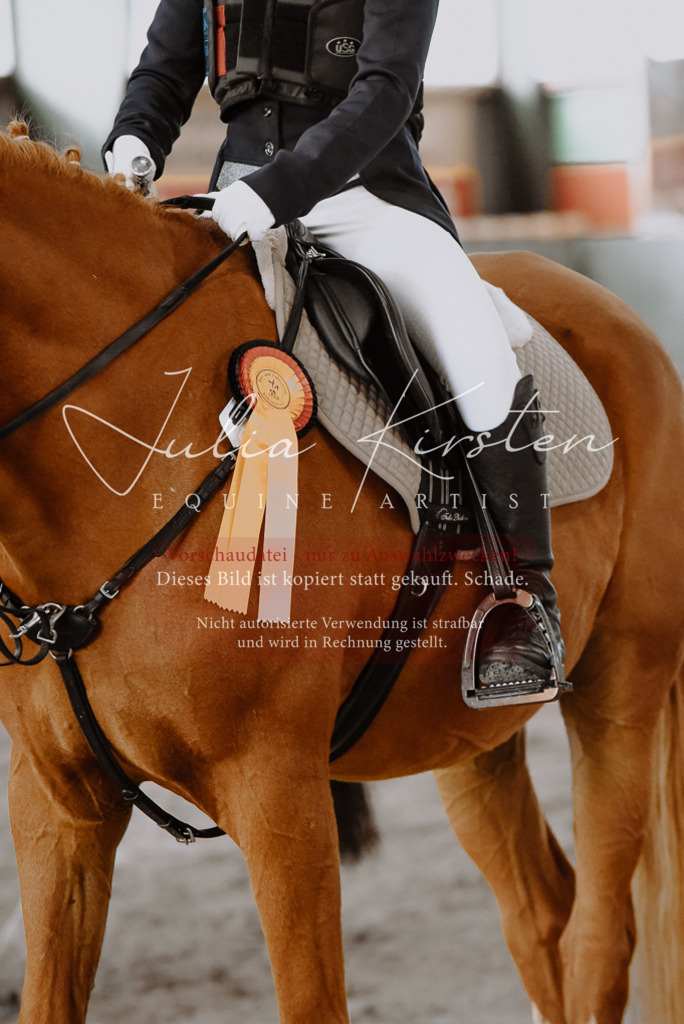 DSC_7498 | Pferde- und Turnierfotografie in Westsachsen. Pferdeportraits, Auftragszeichnungen und intuitive Kunst.