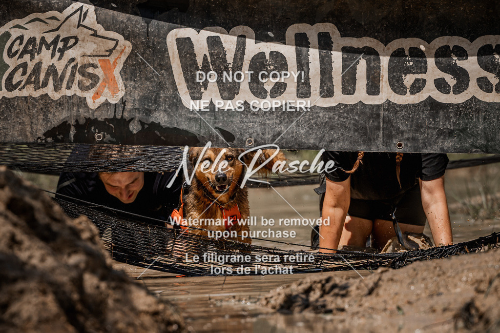 nelerasche_Hoope2026_Sa1330-1400_319 | nelerasche