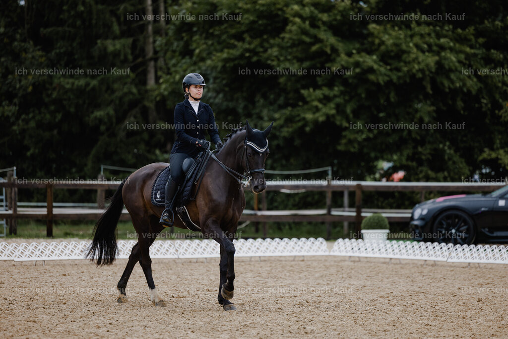 Leonie24_FHC2025-1 | working equitationturnier fotograf videograf stoibphotography marixx film working equitation deutschland reitsport turnierfotografie eventfotografie equestrian events