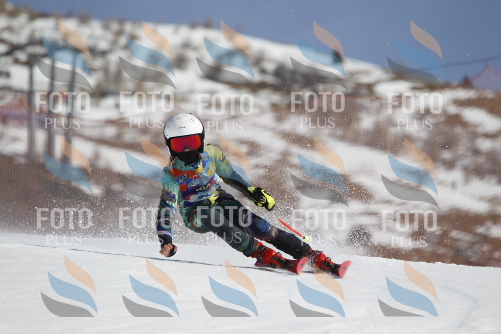 _U3G0029 | holidayphoto