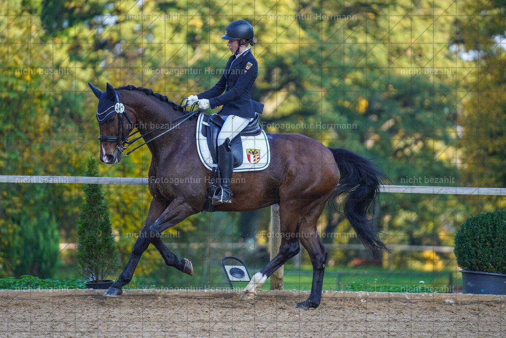 20221007-FAH00304 | Diessen am Ammersee, 2022, Dressur- und Springturnier, Reitsportbilder, Turnierfotografen Bayern, Pferdefotografen, Fotoagentur Herrmann, Turnierbilder