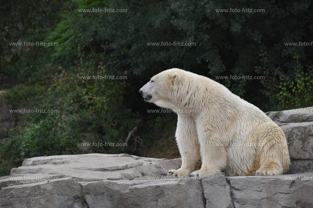 JUN_5958 | www.foto-fritz.com - Realisiert mit Pictrs.com