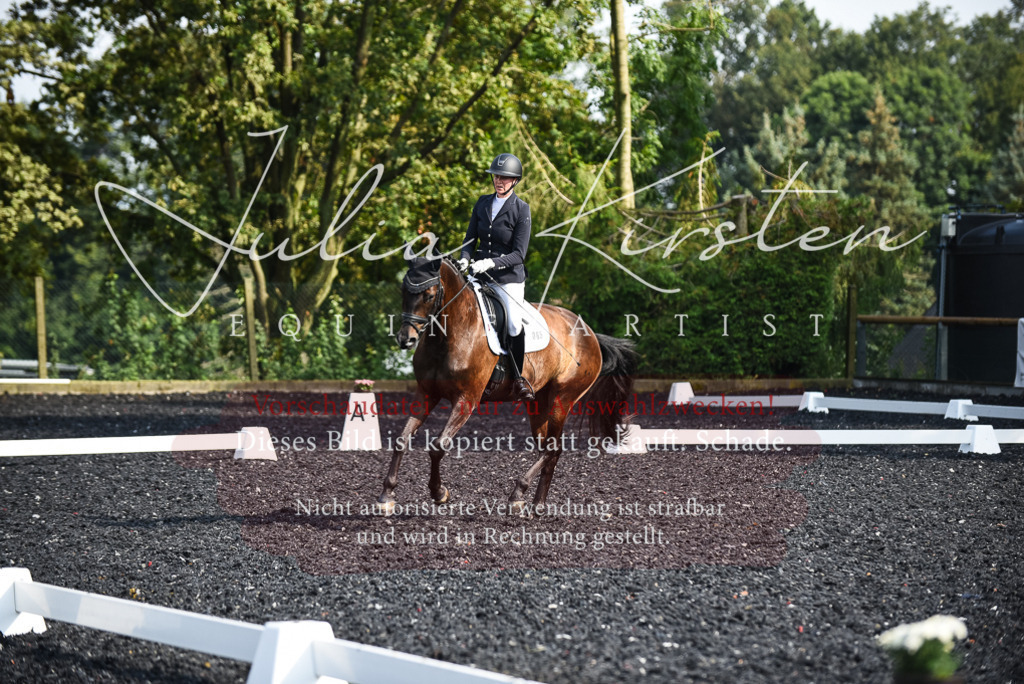 DSC_3122 | Pferde- und Turnierfotografie in Westsachsen. Pferdeportraits, Auftragszeichnungen und intuitive Kunst.
