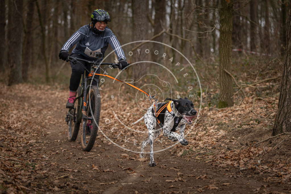 Pfotenfotografie_DV3A7026 | Hundefotografie, Tierfotograf, Pfotenfotografie, Fotoshooting Hund, Hunde Portrait, Hundesport, Hundeportraits, Heideshooting, Hunde, Sportfotograf, Hundefotograf, Turnierhundsport, THS,  - Realisiert mit Pictrs.com