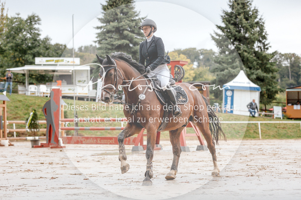 3I6A5557 | Stimmungsvolle Portraits und Reitsportfotografie im Ruhrgebiet und im Münsterland.

Pferdefotografie, Hundefotografie, Tierfotografie, Reportagen, Portraits von Tier und Mensch, Turnierfotografie in Bochum, Recklinghausen, Marl, Haltern am See, Dülmen.. - Realisiert mit Pictrs.com