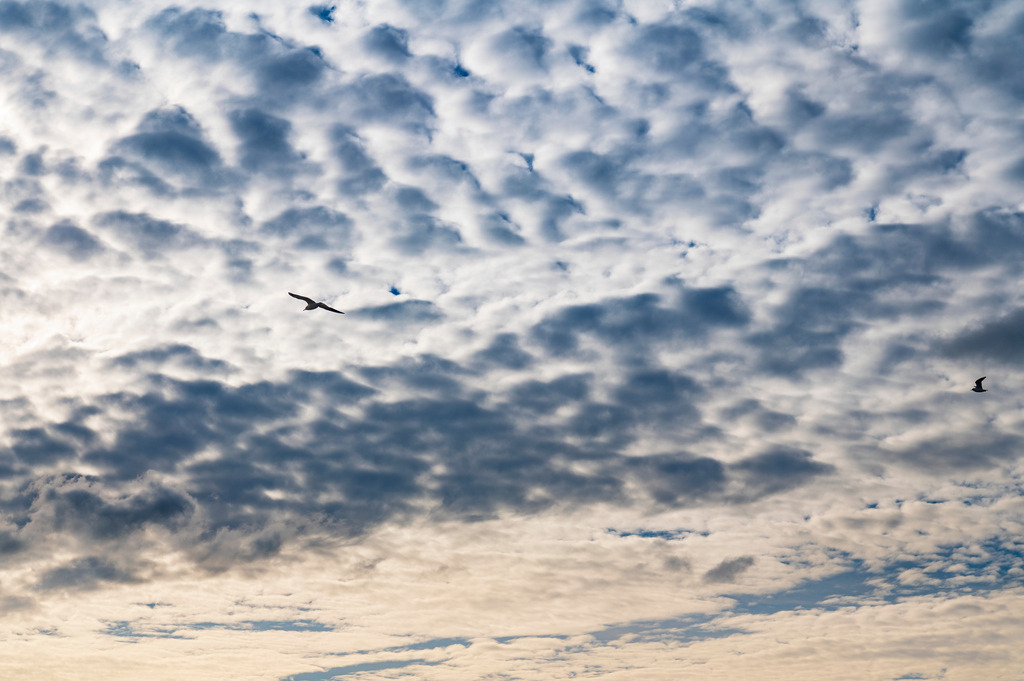 2023_02_04_HH-TEUFELSBRUECK_MCP6691 | Hochwertig gedruckte Fotografien für die Wand, als Kalender und zum Verschenken. Hamburg & Norddeutschland und überall wo ich mit der Kamera unterwegs war.
