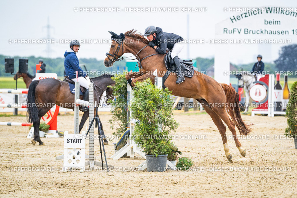 DSC09441 | Pferdegrafie