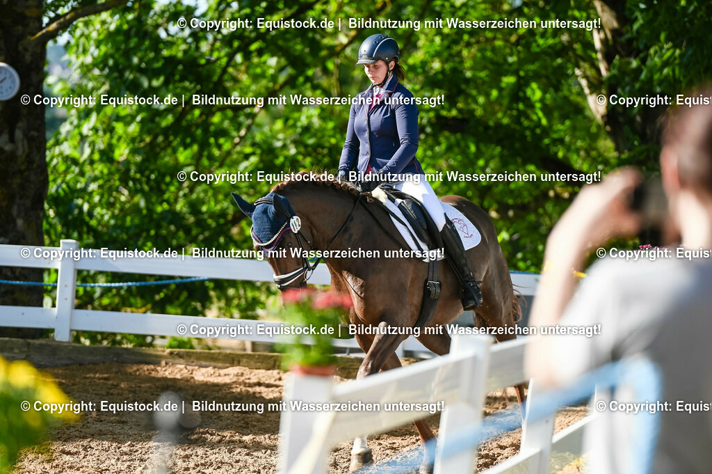 20230715_06_Dressurpferdeprfg. Kl.A_0133 | equistock