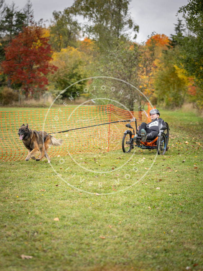 Pfotenfotografie_DV3A3537 | Hundefotografie, Tierfotograf, Pfotenfotografie, Fotoshooting Hund, Hunde Portrait, Hundesport, Hundeportraits, Heideshooting, Hunde, Sportfotograf, Hundefotograf, Turnierhundsport, THS,  - Realisiert mit Pictrs.com