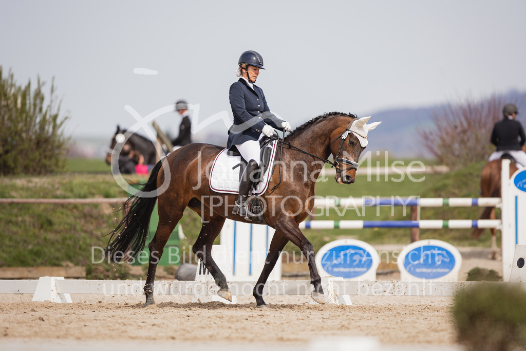 230410_Frühlingsfest_A-Dressur-482 | Deine schönsten Turniermomente als professionelle Fotos! Entdecke hochwertige Pferdesport-Fotografie im Online-Shop. Jetzt Fotos finden & bestellen!