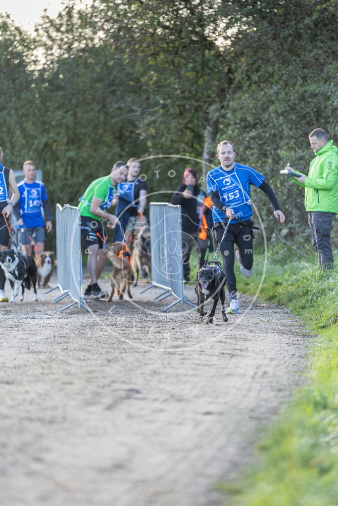 Pfotenfotografie.de_DV3A2694 | Hundefotografie, Tierfotograf, Pfotenfotografie, Fotoshooting Hund, Hunde Portrait, Hundesport, Hundeportraits, Heideshooting, Hunde, Sportfotograf, Hundefotograf, Turnierhundsport, THS, canicross - Realisiert mit Pictrs.com