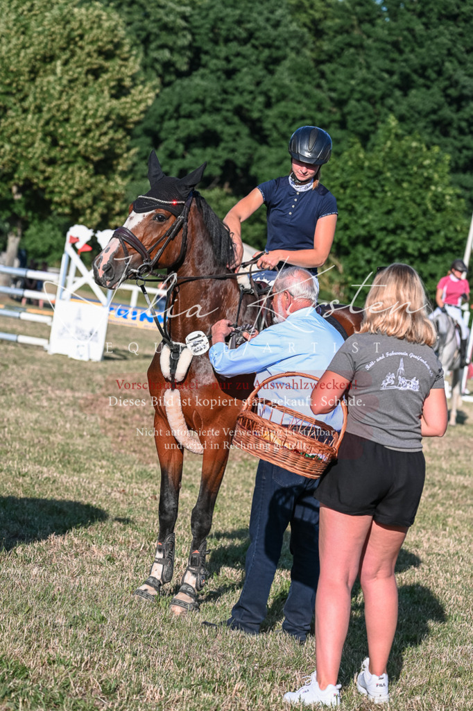 DSC_3181 | Pferde- und Turnierfotografie in Westsachsen. Pferdeportraits, Auftragszeichnungen und intuitive Kunst.