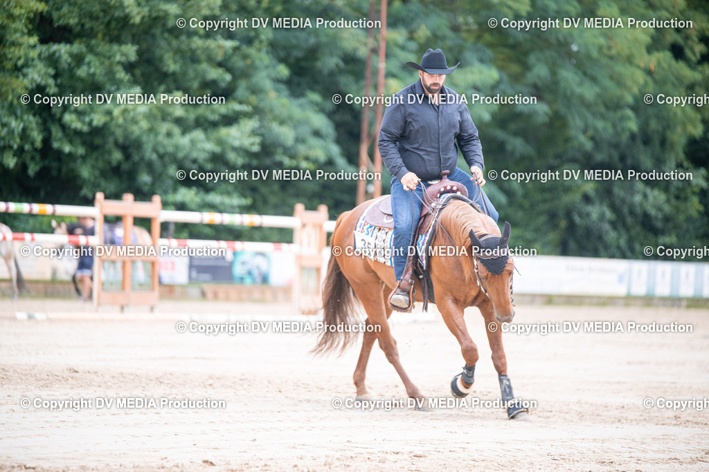 ZS3_5174 | dv-media-shop - Realisiert mit Pictrs.com