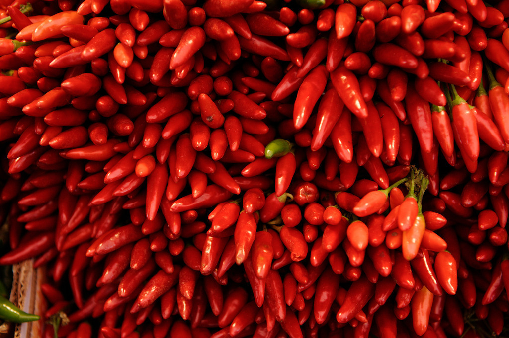 rote Chilischoten | Wien, Austria - December 03, 2011: rote Chilischoten. - Realisiert mit Pictrs.com