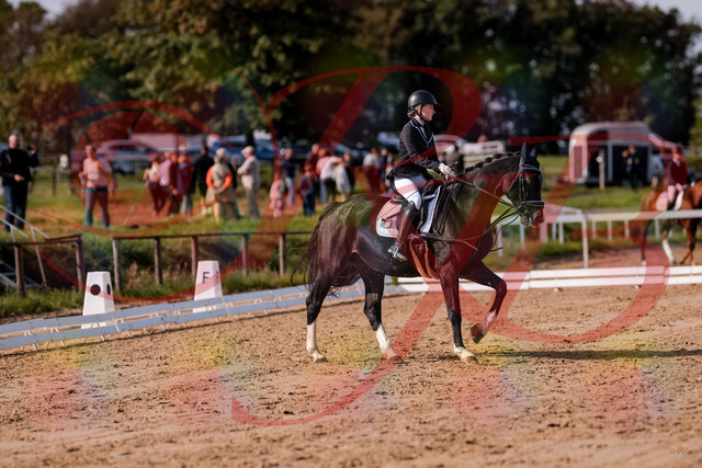 2026_10_03_Siefer-Hof_121555_Z81_17873928 | Professionelle Reitsport-, Turnier- und Eventfotografie von Robert Broda. Galerien mit ausgewählten und bearbeiteten Bildern direkt online ansehen und bestellen.