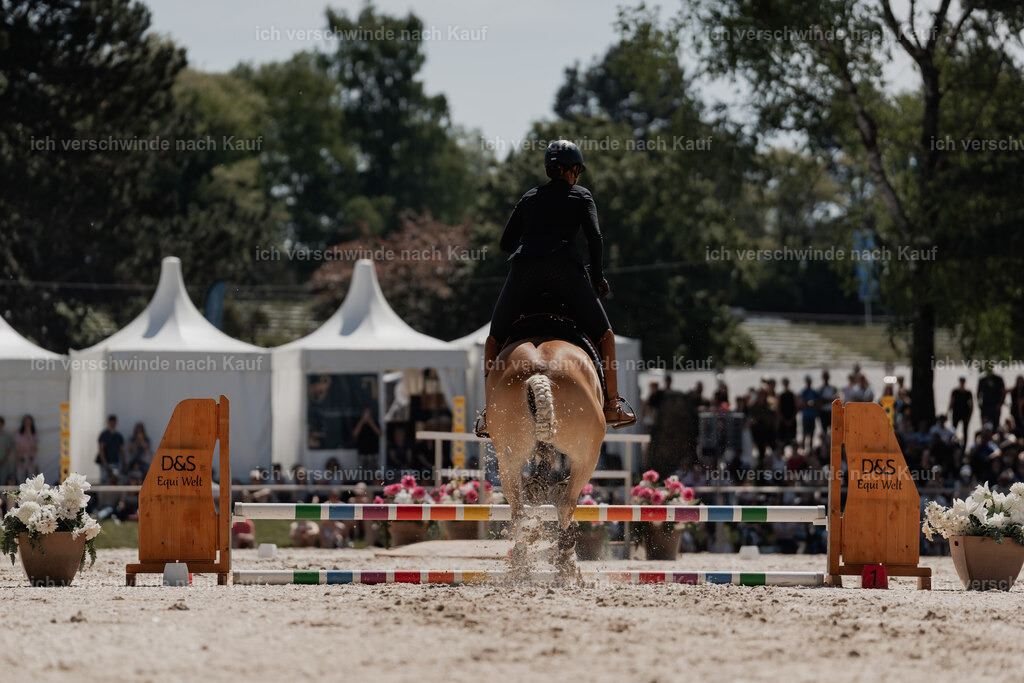 WE_SP_Stoib_308_PI2025_1610 | Pferd International München 2025