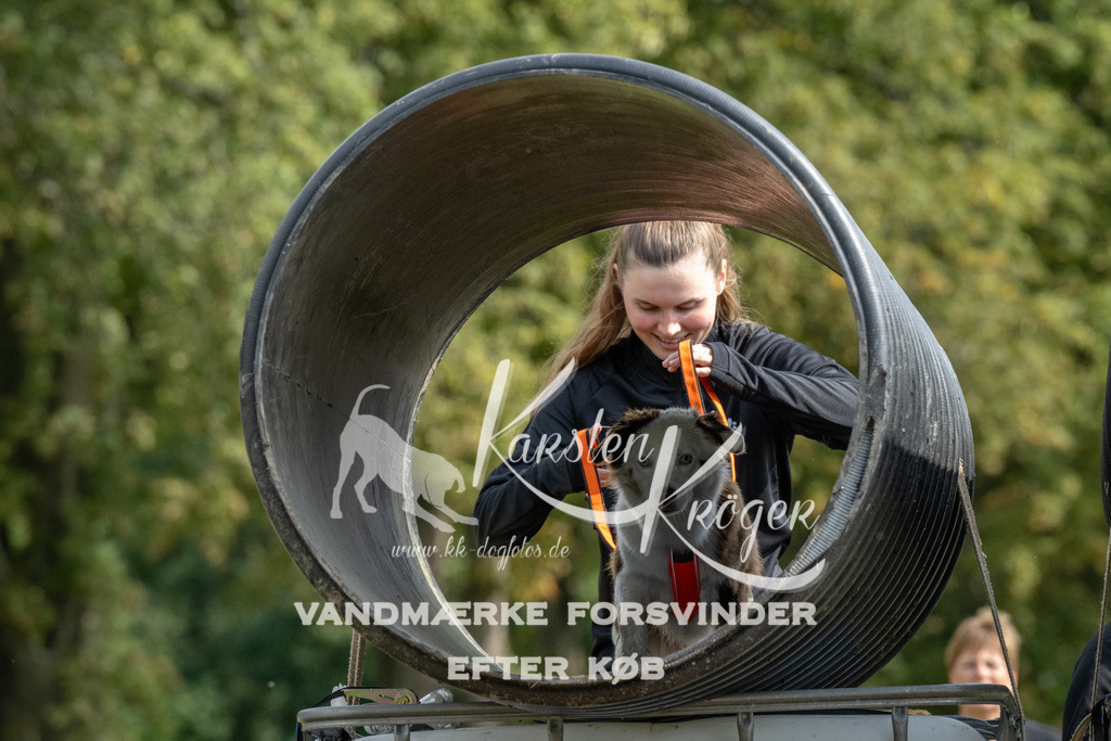 1134_ZZ94689 | kk-dogfotos