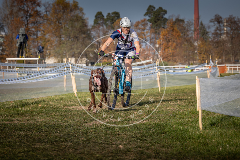 CaniXpix_0L8A7052 | Hundefotografie, Tierfotograf, Pfotenfotografie, Fotoshooting Hund, Hunde Portrait, Hundesport, Hundeportraits, Heideshooting, Hunde, Sportfotograf, Hundefotograf, Turnierhundsport, THS,  - Realisiert mit Pictrs.com