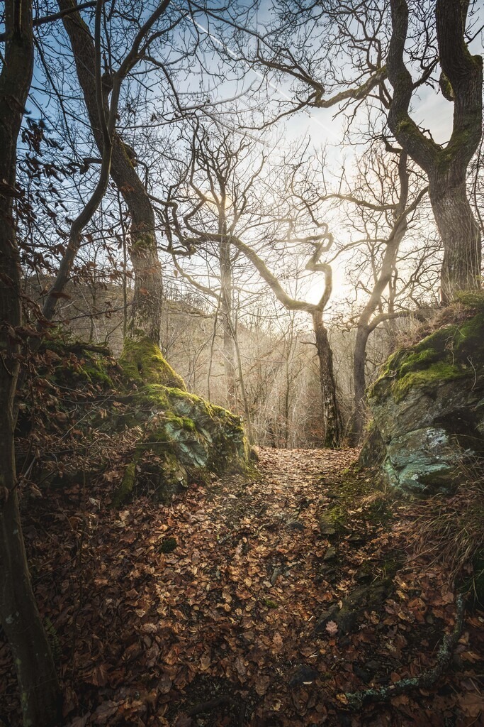 Hammerklippe im Selketal | Wir machen aus Ihren Bildern Erinnerungen für die Ewigkeit | Hochwertige Fotografien für Ihr zu Hause. - Realisiert mit Pictrs.com