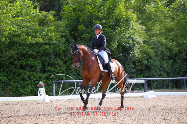 DKP41612 | Deine Turnierfotos vom Reitturnier online kaufen: Dressur, Springen & Siegerehrung. Professionelle Pferdefotografie aus dem Rheinland – als Download & Print.Alternative: Turnierfotograf für den Pferdesport: Finde deine Fotos von Dressur- und Springturnier