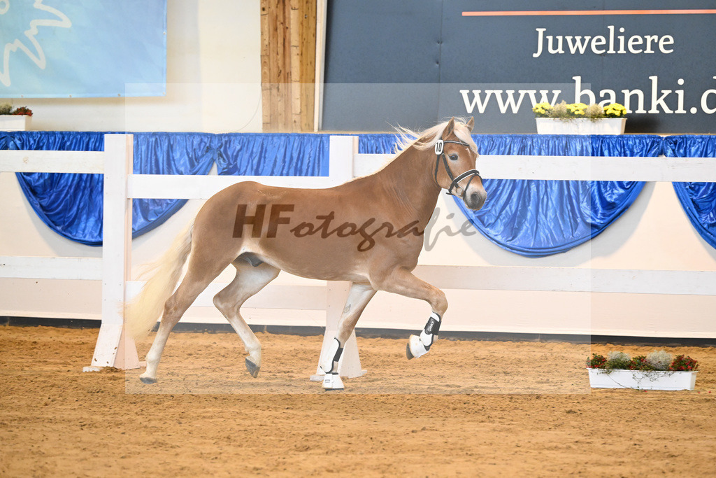 Kat-Nr. 10 nn v. Bugatti_Obermeyer_60220142 | hf-fotografie - Realisiert mit Pictrs.com