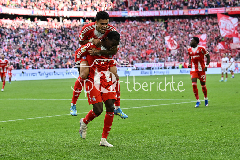 FC Bayern München - VfB Stuttgart | MUNICH, GERMANY - 19. APRIL: Bayern celebrates the goal to makes 2-1 / Tor / Torschuetze / Freude / Happy - Nicolas JACKSON (FC Bayern Munich 11) - during the Bundesliga Match between FC Bayern Munich vs. VfB Stuttgart at Matchday 30 at Allianz Arena / DFL REGULATIONS PROHIBIT ANY USE OF PHOTOGRAPHS AS IMAGE SEQUENCES AND/OR QUASI-VIDEO / Luis DIAZ (FC Bayern Munich 14)