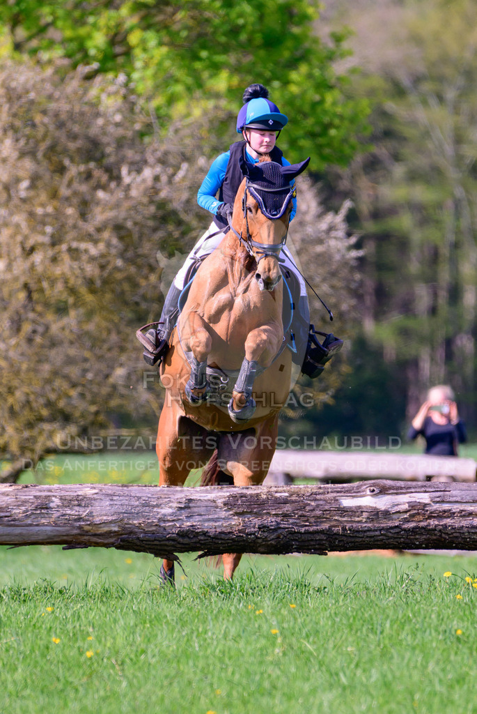 18042026-Gernlinden-04-1-0453 | Fokus Hufschlag Fotografie - Realisiert mit Pictrs.com