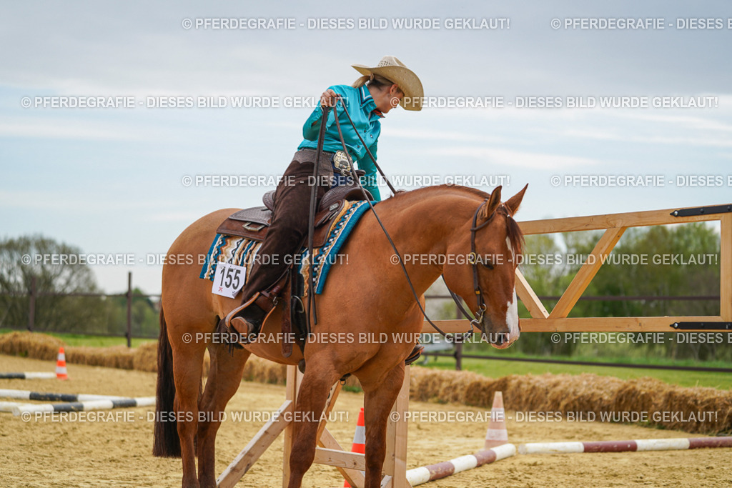 DSC03037 | Pferdegrafie