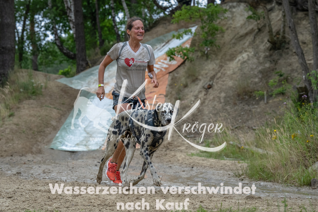 1715_ZZ90811-Bearbeitet | kk-dogfotos
