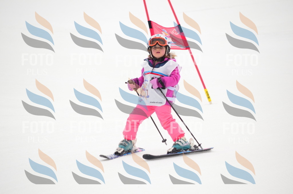 B9313 | holidayphoto