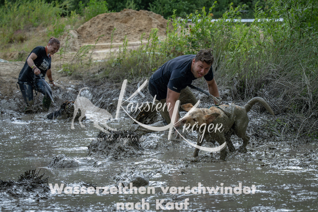 1410_ZZ91424-Verbessert-RR | kk-dogfotos